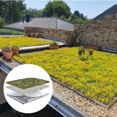 Dachbegrünung System Leichtgewicht Sedum (1m²)