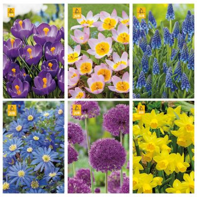 Blumenzwiebeln Paket Eichenprozessionsraupe