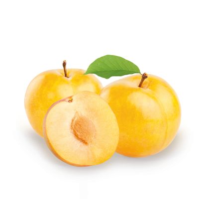 Pflaumenbaum 'Reine Claude d'Oullins'