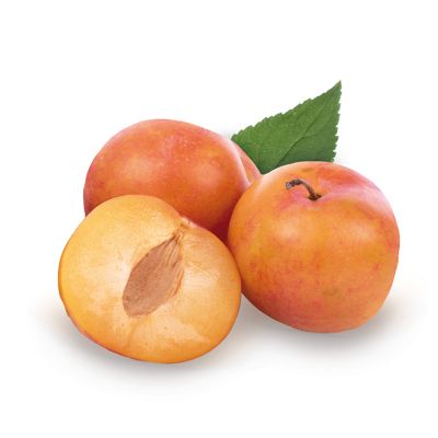 Pflaumenbaum 'Victoria'