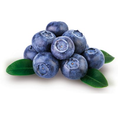 Blauwe bes 'Bluecrop'