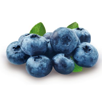 Heidelbeere 'Goldtraube'