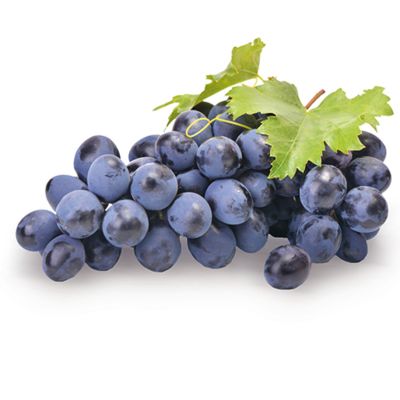 Traube 'Boskoops Glorie'